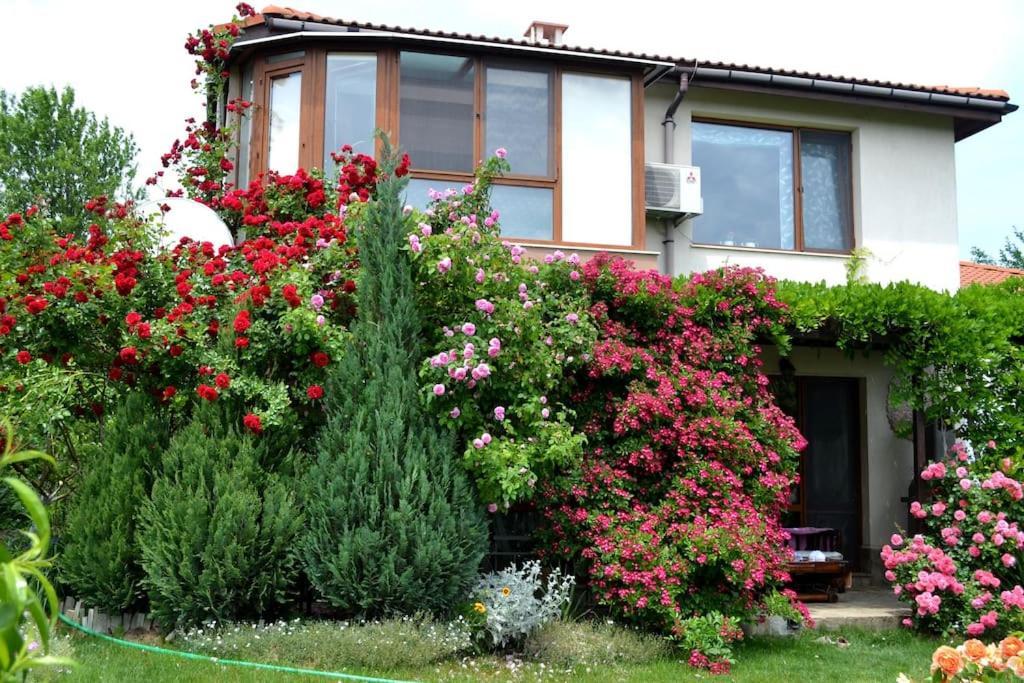 Sea & Garden Villa Varna Luaran gambar