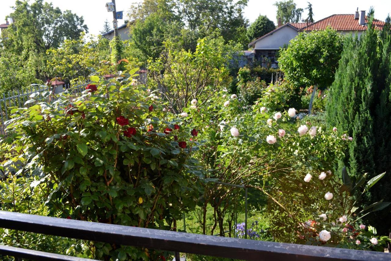 Sea & Garden Villa Varna Luaran gambar